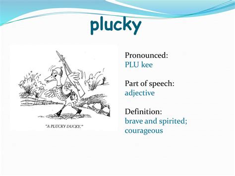 define plucky.